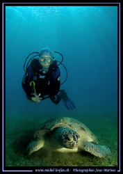   beautiful moment between my wife this huge Green Turtle... Turtle"... Turtle"  
